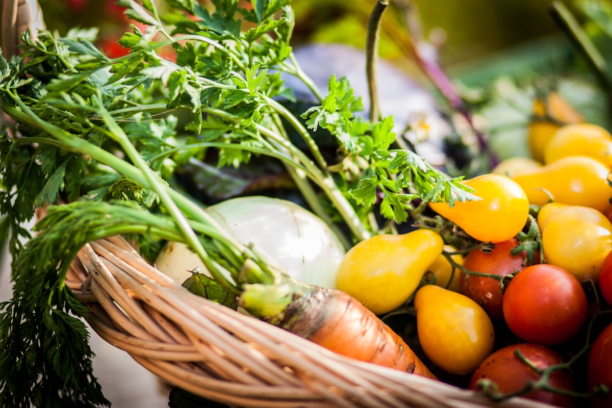 Basket of fresh vegetables and greens